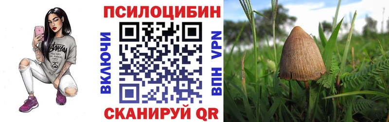Галлюциногенные грибы мицелий Кашин